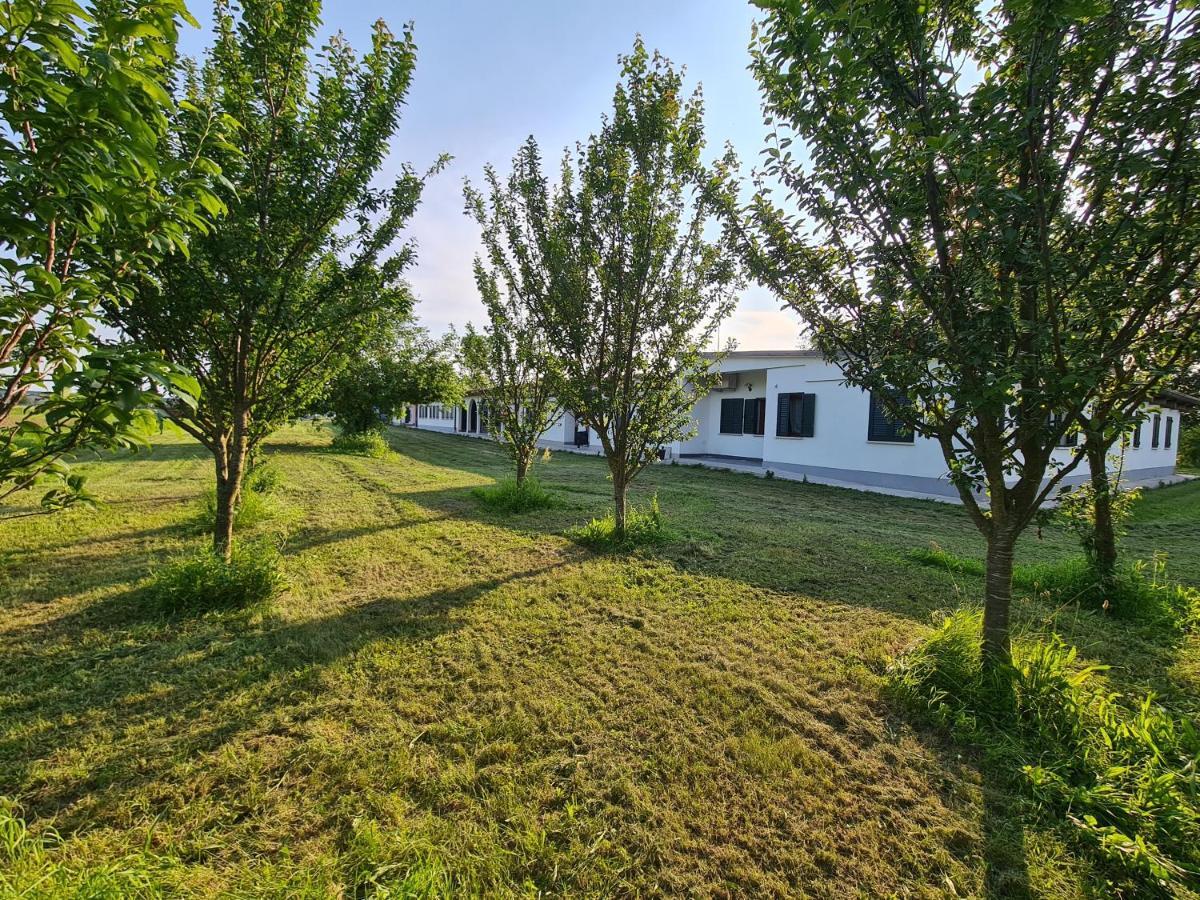 Agriturismo Ca Novak Venezia Спінеа Екстер'єр фото