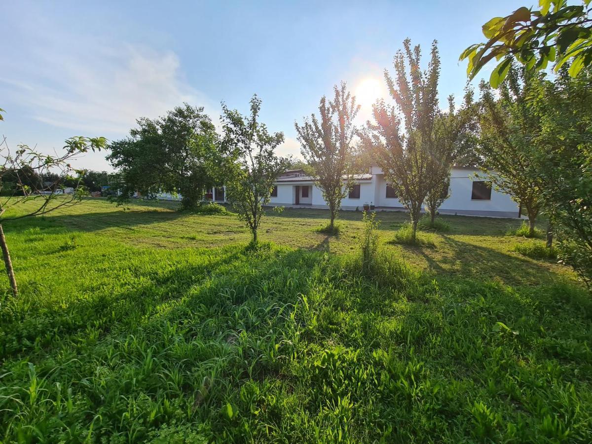 Agriturismo Ca Novak Venezia Спінеа Екстер'єр фото